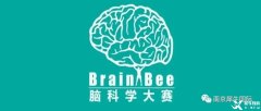 Brain Bee竞赛如何报名？地区/全国/国际赛事都考什么？