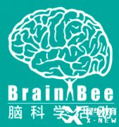 Brain bee脑科学竞赛报名即将开启，5-12年级均可参加的生物竞赛~