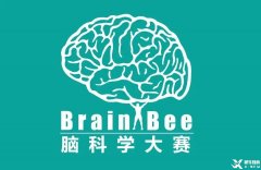 Brainbee脑科学竞赛含金量高吗？犀牛Brainbee竞赛冲刺基础班报名中~