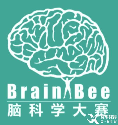 Brain Bee脑科学大赛