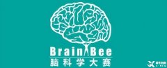 为什么Brain Bee脑科学大赛越来越受欢迎？附24年Brain Bee比赛时间