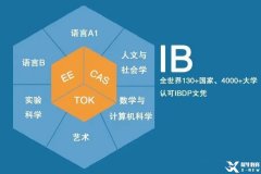 太全了！一文详解IB课程体系！附9-12年级IB升学时间轴