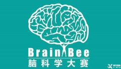 Brainbee脑科学大赛，零基础居然也能参加的生物竞赛！