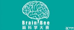 Brain Bee生物竞赛规则及培训课程介绍，详情了解~