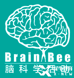 2025年Brain Bee全国赛即将开考！点击下载Brain Bee参考书及真题！