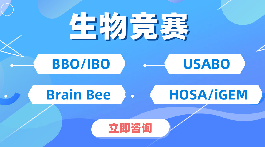 速来围观！深度剖析 USABO 和 BBO区别在哪？不同体系如何备考？